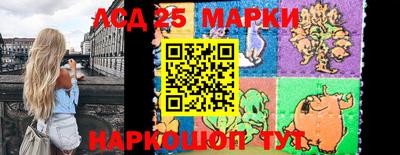 мдпв Бердск