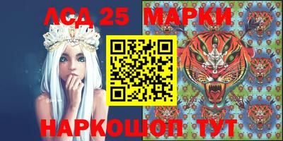 мдпв Бердск