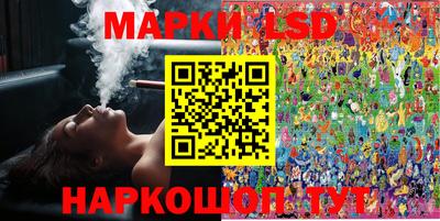 мдпв Бердск