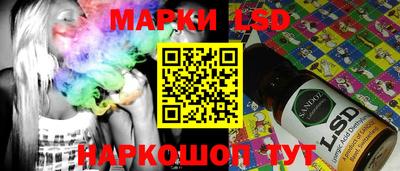 мдпв Бердск