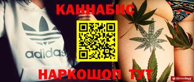 мдпв Бердск