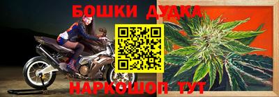 ГАЛЛЮЦИНОГЕННЫЕ ГРИБЫ Белорецк