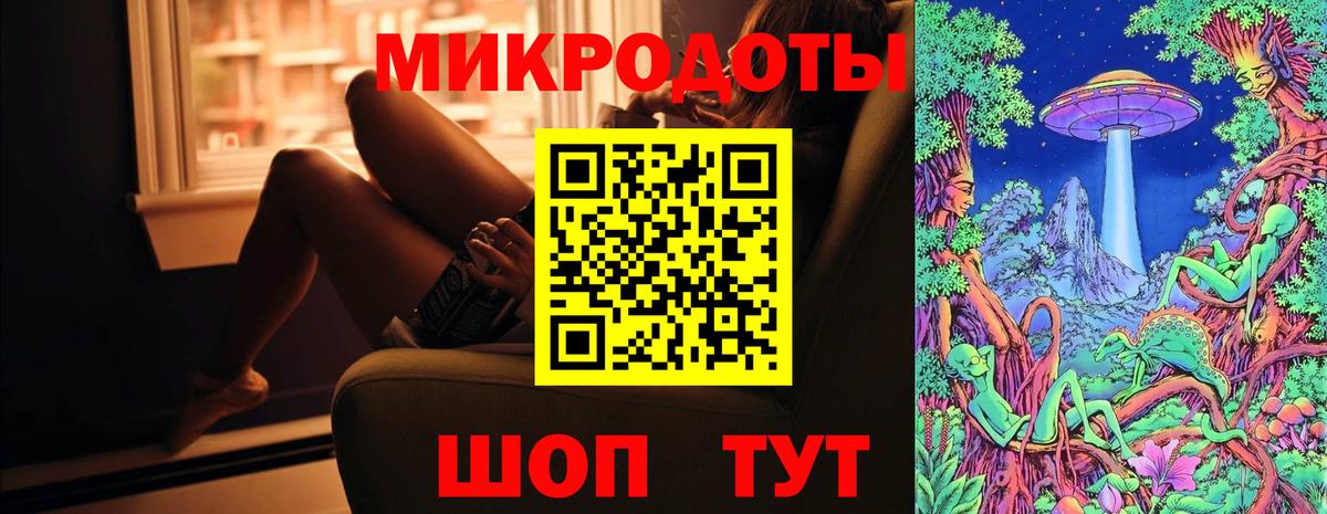 Галлюциногенные грибы Psilocybe Анжеро-Судженск
